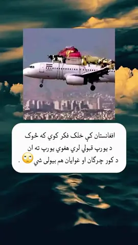 #🇦🇫 #🇫🇷 #bordeaux #paktiawal12 #zazai12 #viral #foryou 