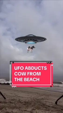 UFO abducts cow from the beach. #ufo #alien #aliens #alieninvasion #cow #theresalsoacow #theresalsoadonkey #absurd #beachvibes #sea #beach 