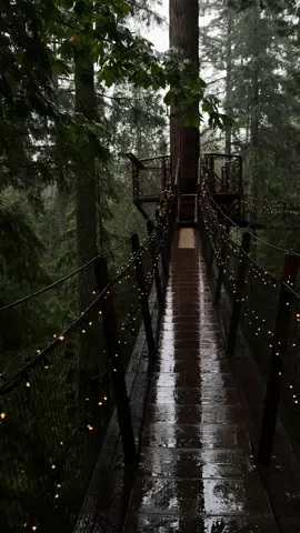 The only way to see Capilano almost empty is to go on a weekday when it is raining hard. But the atmosphere is magic✨ #capilanosuspensionbridge #vancouver #explorevancouver #suspensionbridge #forest #rain #bucketlist 