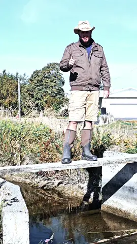 Pink pony club #pinkponyclub #aaronbelk 