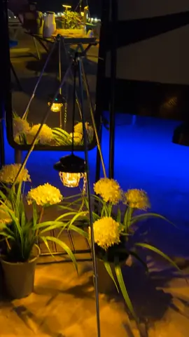 #جلستي_على_طريق_الملك_سلمان #طريق_الملك_سلمان #مالي_خلق_احط_هاشتاقات #روقان #جلسه #كرفان #كشته #المكان_السري #الرياض❤️ #الاجواء #عيش #لاونج 