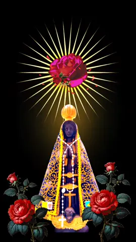 Maria passa na frente  #nossasenhoraaparecida #gratidao #consagracao #fe #oracaopoderosa 