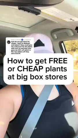 Replying to @Rosita🧿  Planttok! Try asking this question next time you go to a big bix store garden center! Find a droopy sad plant (that’s definitely still alive…but the workers don’t know that) and ask “How much do you sell dead plants for?”  One of my favorite indoor plant hacks to grow my plant collection is to do plant rescues!  #planttips #plantlovers #plantrescue #PlantTok #indoorplants #plantsmakepeoplehappy  Plant TikTok  Indoor plant tips  Plant tips and hacks 