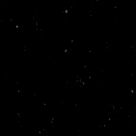 ملاحظة معنا حيدر ربي وديني بمعنى رب الأسرة او قائد مو شرك بالله +اذا ماتصدك روح ابحث #سيد_فاقد_الموسوي #تصميم_فيديوهات #fyp#شور_حتى_الظهور 