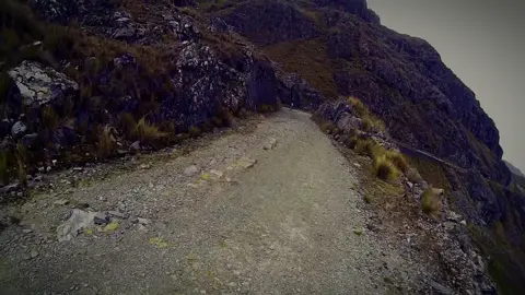 A RUTEAR, Camino antiguo al Chapare. #biker #ruterosbolivianos #viajesenmoto #chaparebolivia🇧🇴 #motoquerosbolivia🇧🇴 #ruterosbolivia🇧🇴🛣♥️ #motorcycle 