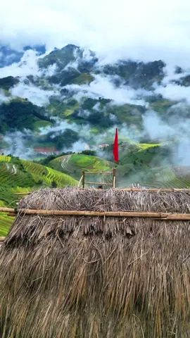Núi mang lại vẻ đẹp mạnh mẽ, sông mang lại nét dịu dàng thướt #xhtiktok #mucangchaiyenbai #tuorguide #kimnoi #dulich 