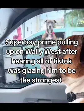 Bro Superboy prime makes wally west look like a street level hero😭😭😭#superboyprime #wallywest #anitok #foryoupage #fyp #dc 