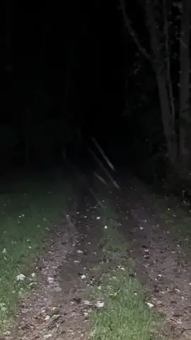 Dark path at night?¿ #fyp#woods#scary#aesthetic #chill#rainyforest #night 