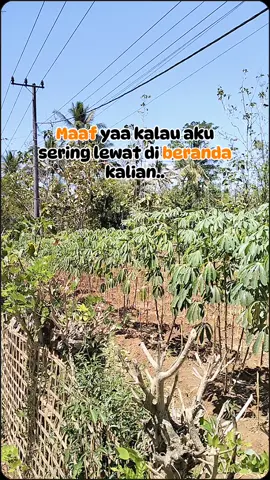 #reelsfb #idekonten #reels #templatefbpro #tranding #fbpro #CapCut #beranda #reelsviral 