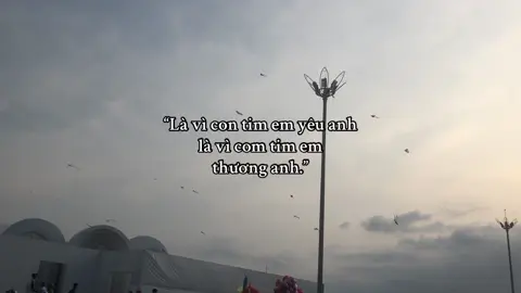 Là vì con tim yêu anh#xh #fyp 
