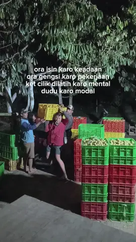 #malangkotadingin #mandiriku #mandirimiliku 