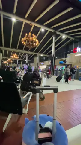 Nih buat setatus WA,buat prank temen🤪 #setatusWA #prank #fyp #bandarasoekarnohata