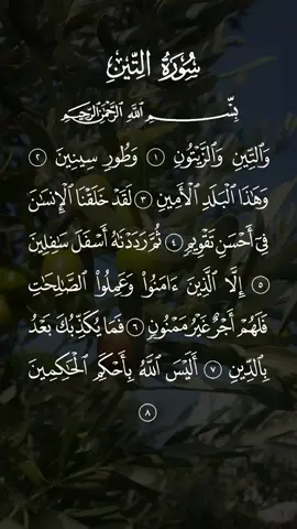سورة التين مكتوبة كاملة بصوت الشيخ سعد الغامدي #سعد_الغامدي #سورة_التين #قران #قران_كريم #قرآن #القرآن_الكريم_ترند #تلاوة_خاشعة #راحة_نفسية #نفع_الله_بكم_الاسلام #المؤمنون_بالله_وحده #حافظواعلى_الصلاة #لاتكفروا_بالله #الصلاة #خاشع_ومؤثر #اسلام #سبحان_الله #oops_alhamdulelah #لا_اله_الا_الله #الله_اكبر #الله #محمد #محمد_صلى_الله_عليه_وسلم #استغفرالله #استغفرالله_العظيم_واتوب_اليه #الجمعة #دعاء #ذكر #التوحيد #التوبة #النور #السعودية #الامارات #المدينه_المنوره #مكة #مكة_المكرمة #الكويت #الشارقة #دبي #قطر #مصر #الجزائر #العراق #quran #quran_alkarim #viral #fyp #foryou #islam #muslim #tiktok #americanmuslim #islamic #uae #friday #dubai #indonesia #turkey #egypt #malaysia 