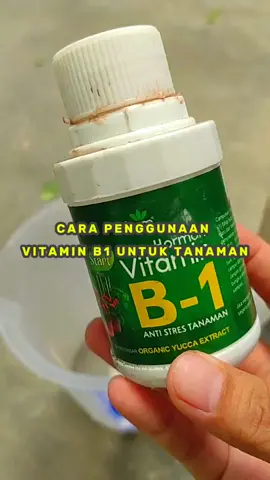 vitamin b1 adalah vitamin yang berguna sebagai anti stress pada tanaman. tanaman yang di beli secara online ataupun offline jika di pindah pot akan mengalami penyesuaian. maka sebaiknya siram dengan vitamin ini agar tanaman tidak stress #vitaminB1 #antistress #vitamintanaman #infarm 