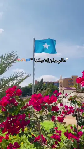 #الصومال #جيبوتي #somalia #djbouti #fyppoooooppppppppppppppp #fyppoooooppppppppppppppp #fyppoooooppppppppppppppp #fyppoooooppppppppppppppp #somali #fypシ゚viral #fyppoooooppppppppppppppp #fyppoooooppppppppppppppp #wadanموطن #Home#fyppoooooppppppppppppppp 