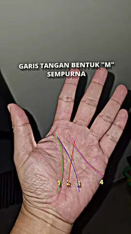 keistimewaan pemilik garis tangan berbentuk m#fyp #palmistry #garistangan #mhzhhabibi #fyp #weton #wetonjawa #viral