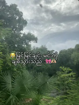 မြင်”ချင်းမင်းကိုချစ်ခဲ့တာ…😭🫶🏻#fyppppppppppppppppppppppp #foryoupage #fyp #fav #him #foryoupage #fyppppppppppppppppppppppp 