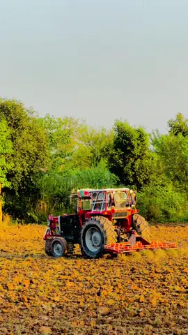 S4 Episode 832 | Pind 🦋🌾💫💯🍁🌅 #Malikaneesraxa_1 #پنڈ_جیہ_کھوکھراں_☘️🌿👳‍♂️ #trending #foryoupage #trend #viral #pindawale #pendu #gaon #jutt #villagelife #viralvideo #pind #foryou #village #punjabi #punjab #weather #mosaam  