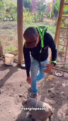 Dia de bico passear🥰🥰