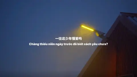 Name Song: Không Thể Từ Bỏ • 戒不掉 #nhactrungquoc #nhactrung #戒不掉 #lyrics 