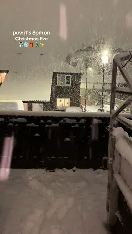 The best day of the year! #christmas #christmastiktok #christmaseve #snow #snowing #snowman #christmascountdown #christmasaesthetic #snowfall #december #snowday #winter #christmastree #christmaslights #christmasdecorating #christmasdecorations #christmatree 