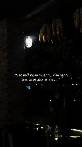 #hminhnetroi #viral 