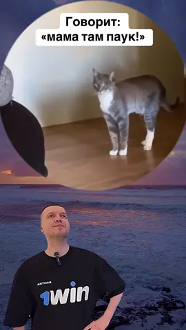 Говорящий кот просит о помощи 😆 #приколыдослёз #приколы #прикол #рекомендации #хочуврек #мемы #кружки #барник #barnik 