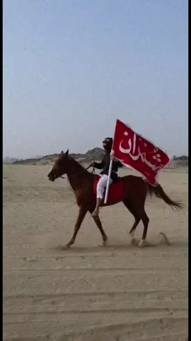 اذا فعلنا الطيب رفرف ياعلم 🏳️❤️ #علي_بن_حمري #شمران #شمران_العصاه #شمران_العناصي #آل_حارثية_شمران #الفزع_شمران #آل_عامر_شمران #شقيق_شمران #ال_مطاع_شمران #قرن_بن_ساهر_شمران .