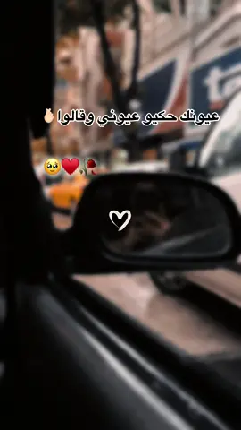 #بحلم_لو_شوفك #تصويري_احترافي_الاجواء👌🏻🕊😴 #مطر #fypシ #foryou #trend #สปีดสโลว์ #สโลว์สมูท #🌸ام_برهوم🌸 