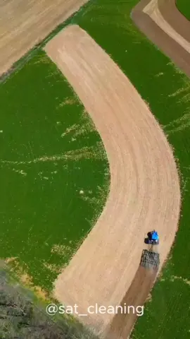 Satisfying Gardening Work 🤩🍀 #garden #gardening #satisfying