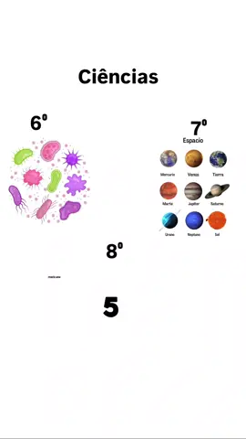#oitavoano #bacterias #planetas 