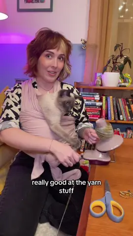 Stinky is available for freelance yarn projects btw  #queer #lesbian #sapphic 