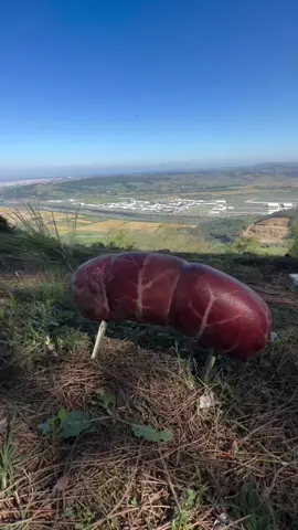 Make hamburgers from giant natural sausages 🔥🥩🪵🌲💦 #outdoorcooking #asmrcooking #Recipe #leon #naturecooking #cookingtiktoker #camping #foodtiktok #asmrvideo #sausage  #hamburger 