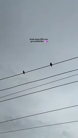 অপেক্ষা মানুষকে জীবিত রাখে ; মূলত অপেক্ষাই জীবন.🌸💜#fyp #bdtiktokofficial🇧🇩 #vrial #official #highlight #account #unfrezzmyaccount #foryoupage 