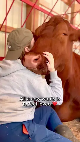 A gentle reminder this #WorldFarmAnimalsDay that cows want love, affection, and respect too, just like any of us. When given the chance to live and thrive in a safe, comforting environment, cows make amazing brothers, moms, friends, and Cow Hug Therapy partners. We wish this happiness for all farmed animals 💚 #cowhugtherapy #farmanimalsanctuary #cowtok #cowhug #animalfriends #cuteanimals 