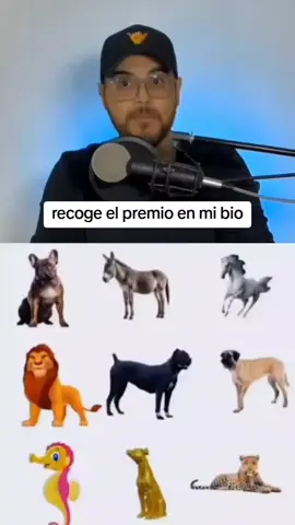 #chile #colombia🇨🇴 #usa🇺🇸 #argentina🇦🇷 #france #portugal #millonario #ecuador🇪🇨 #spain #mexico #paratodosdetiktok♡ #paratodosustedes #paratodos #paratiiiiiiiiiiiiiiiiiiiiiiiiiiiiiii #millionaire #parati #pepemillonario #elmudomx #elmundo 