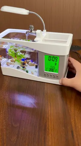 Buy In Cart, Mini Fish Tank with Digital Clock, 1 Set Desktop Fish Tank with LED Light & Accessories, Creative Gift for Friends, Office Desktop Aquarium