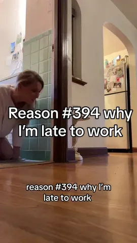 the best excuse if you ask me 🥹 #catsoftiktok #cat #cats #cattok #fyp ##fypシ #foryoupage #kittensoftiktok #kittentok #PetsOfTikTok #pet #funny #adorablepets #cutepets #catlover #catmom #kittenlove 