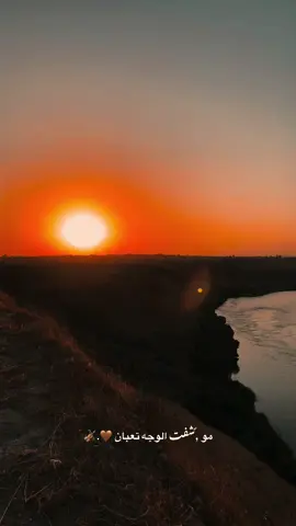 مو شفت الوجه تعبان #ساجده_عبید_💞 #الحويجه_دار_العز #جنوب_الموصل #حاوي_شخير 