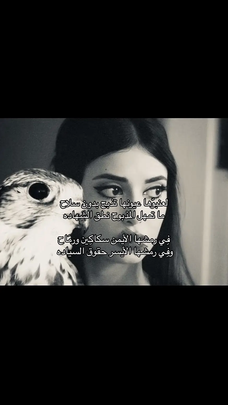 #عيونها #عيون #طير #اكسبلور 