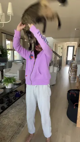 No Pepés were hurt in the making of this video 😸 #catsoftiktok #catlady 