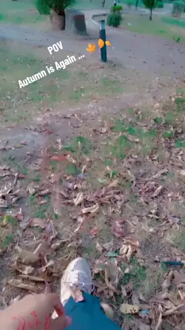 اے زندگی تیری کتاب میں ہم۔۔۔ سوکھے ہوئے پھولوں کی مانند دھرے رہ جائیں گے  @Muhafiz❤️ @Dr_Jam🩺💉💊 @Dn.Ash #drashu #mbbslife #nishterhospitalmultan #multan #foryou #viewsproblem #viral 