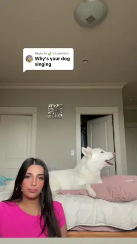Replying to @🍃  She’s a singing dog #screamingava #fyp #trending 