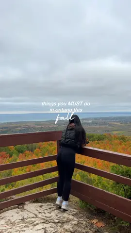 20 things to add to your ontario bucket list to live fall to the fullest 🍂🧡🧸 #ontariotravels #ontariofall #PlacesToVisit #ontariofinds #fallactivities #falltok #torontodateideas #torontoexperiences #torontoactivities #torontolife #fallaesthetic #fallbucketlist #todotoronto #torontoautumn #pumpkinseason 