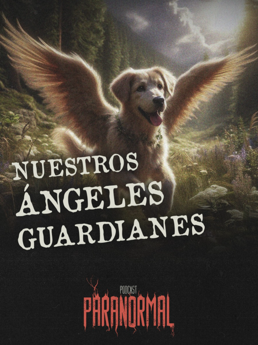🔴 Ep. 52 T3: Conexión con el universo| Nuestros animales domésticos no solo nos acompañan, nos protegen con su amor incondicional. 🐾 Son los guardianes silenciosos. #guardianes #guiasespirituales #espiritualidad #viral #fypシ゚ #parati #conciencia #perros