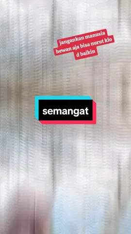 semangat pejuang keluarga,asa tos bingung nyieun konten#fypシ゚viral #makdaster #hiburantiktok😂🙏 