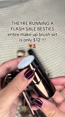 This make up brush set is on a flash sale right now!!! Get it besties 🤎 #makeupbrushes #makeupbrushset  #makeupbrush #makeup #makeuphacks #fallmakeup #makeupdeals #cheapmakeupbrushes  #flashsale #falldealsforyou #tiktokshopfinds #tiktokshopblackfriday #tiktokshopcybermonday #christmasgift #christmasgiftideas #holidaygifts 