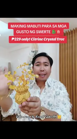 The Citrine Money Tree is a decorative piece often crafted with citrine gemstone chips attached to the branches of a wire-based tree, set on a polished crystal or wooden base. Citrine, known as the 