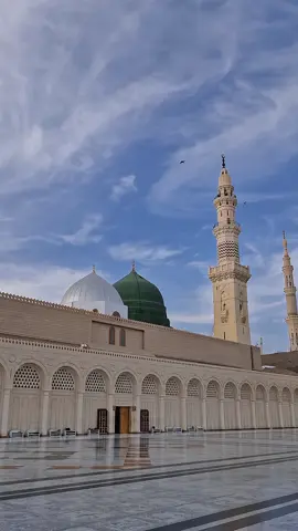 Masjid Nabawi 🤍 #madinahalmunawaroh #masjidnawabi #madinahaesthetic 