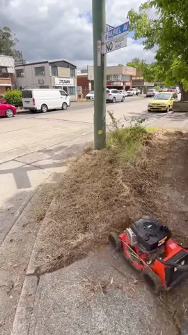 Cleanup time  #asmr #satisfying #lawncare
